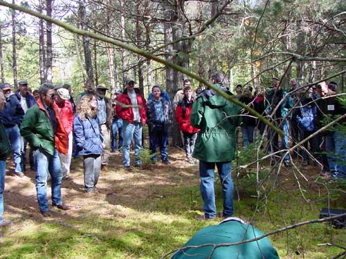 Scotchpine talk.