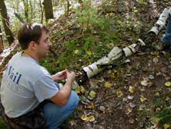 Fungal foray.