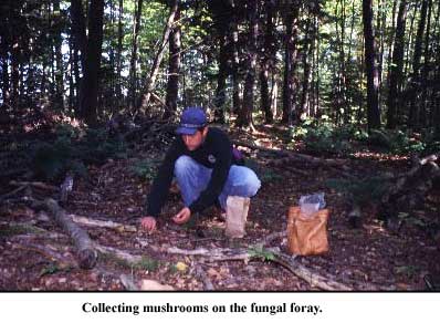 Fungal Foray.