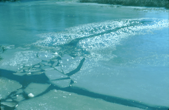 Photo of deer crossing frozen lake.