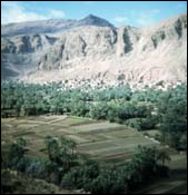 {Todra Gorge: Agro-forestry}