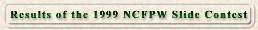 Results of the 1999 NCFPW Slide Contest